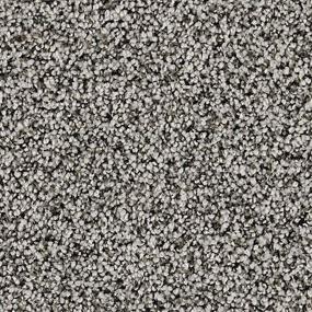 Textured Saxony Vineyard Gray Carpet