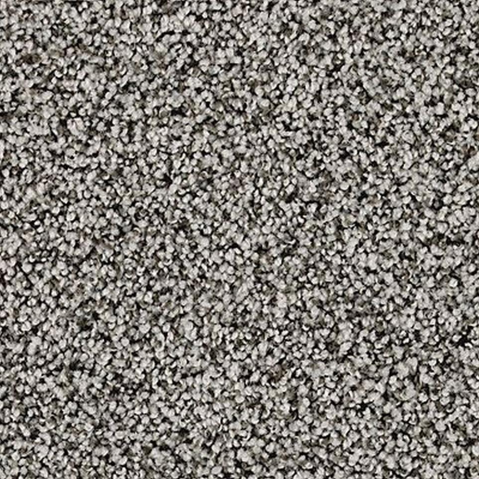 Textured Saxony Vineyard Gray Carpet