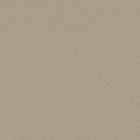 Texture Sands Of Time Beige/Tan Carpet