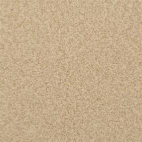 Casual Texture Tusk Beige/Tan Carpet