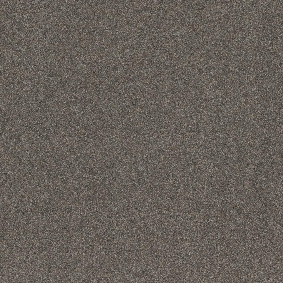 Texture Dynasty Beige/Tan Carpet