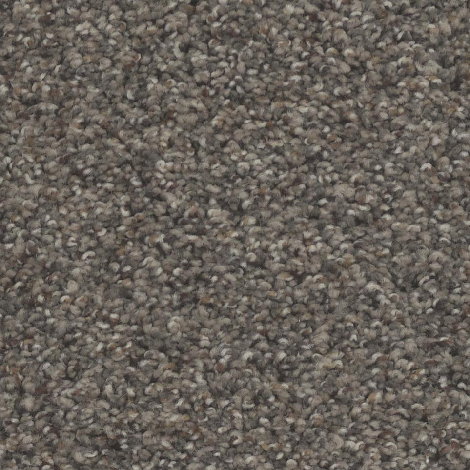 Texture Dynasty Beige/Tan Carpet