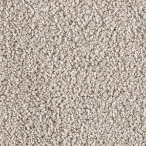 Textured Saxony Moon Rock Gray Carpet