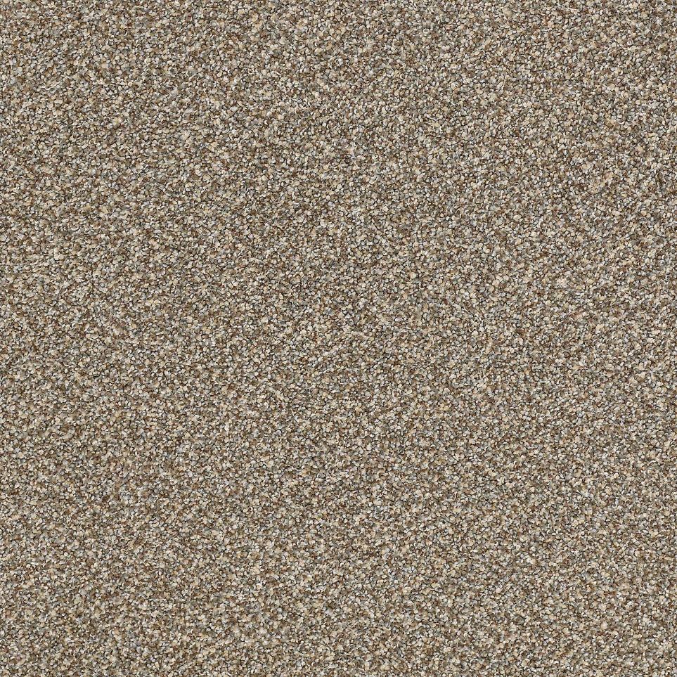 Texture Dakota  Carpet