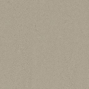 Cut Pile Warm Glow Beige/Tan Carpet