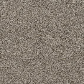 Textured Saxony Bashful Beige Beige/Tan Carpet