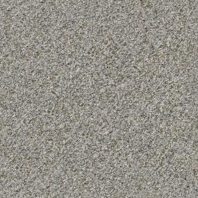 Textured Saxony Ginger Gray Carpet