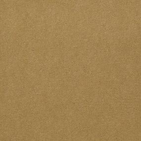 Cut Pile Muted Bronze Beige/Tan Carpet
