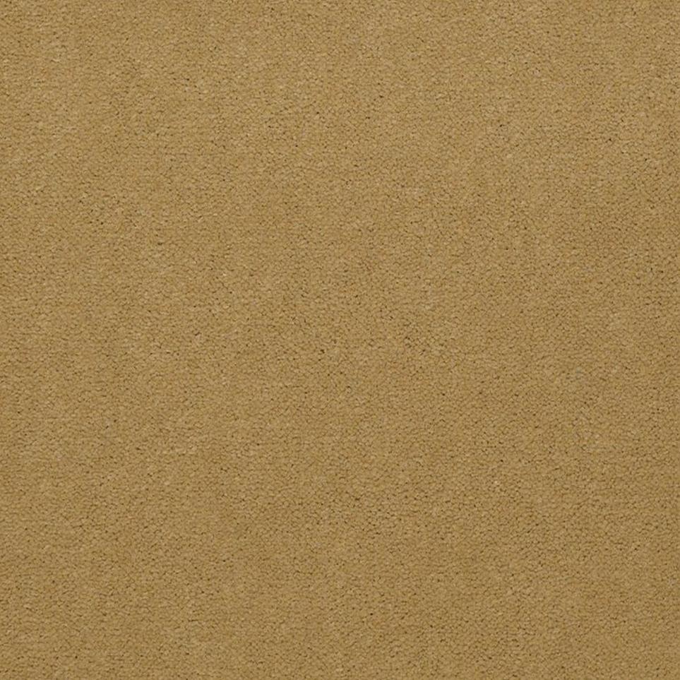 Cut Pile Muted Bronze Beige/Tan Carpet