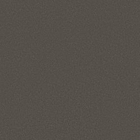 Texture BARN BEAM Gray Carpet