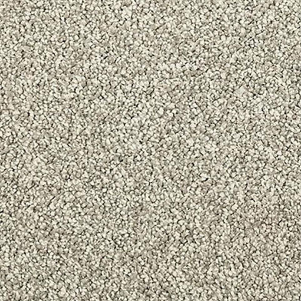 Textured Saxony Rainswept Gray Carpet