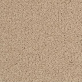 Loop Bourdeaux Beige/Tan Carpet