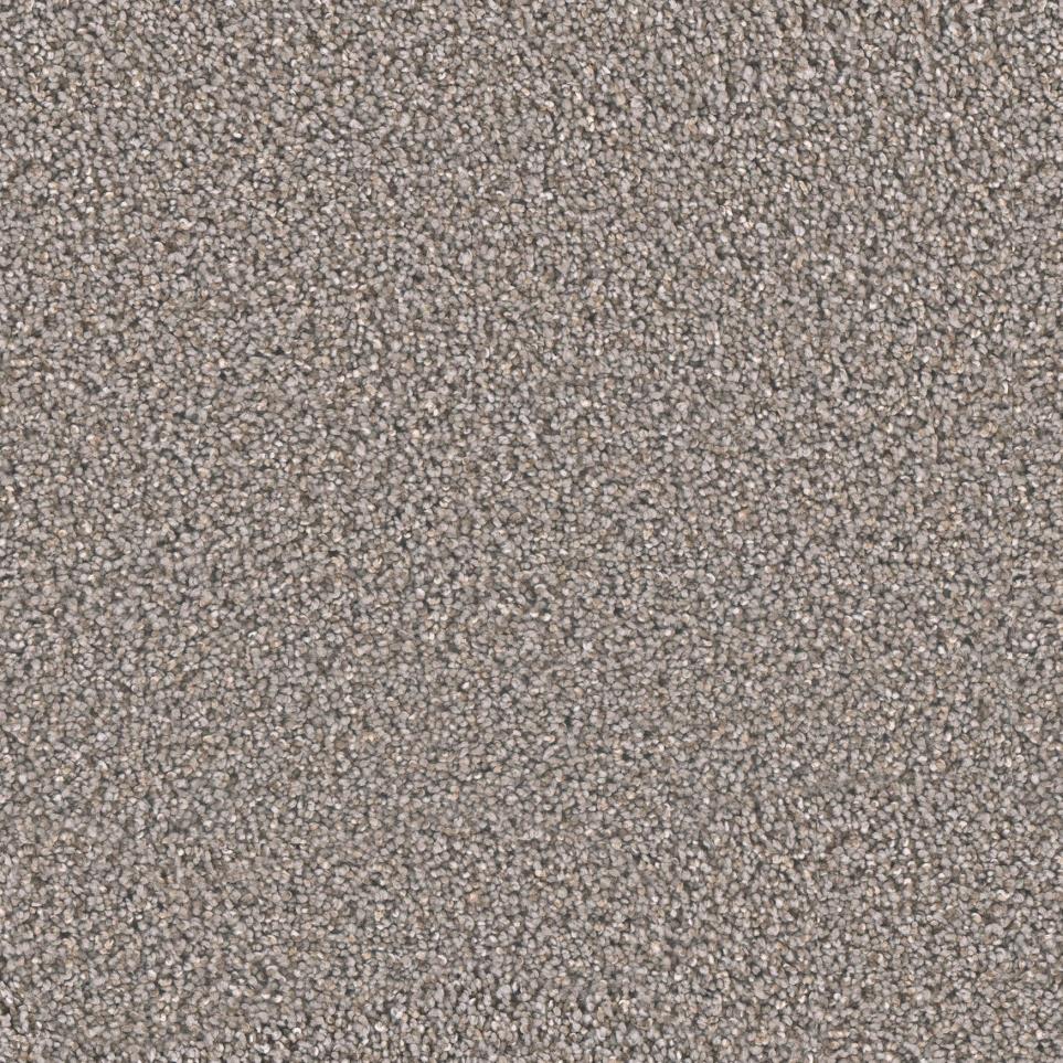 Textured Saxony Trade Winds Beige/Tan Carpet