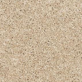 Texture Quiet Light Beige/Tan Carpet