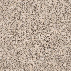 Textured Saxony Moonlit Ash Beige/Tan Carpet