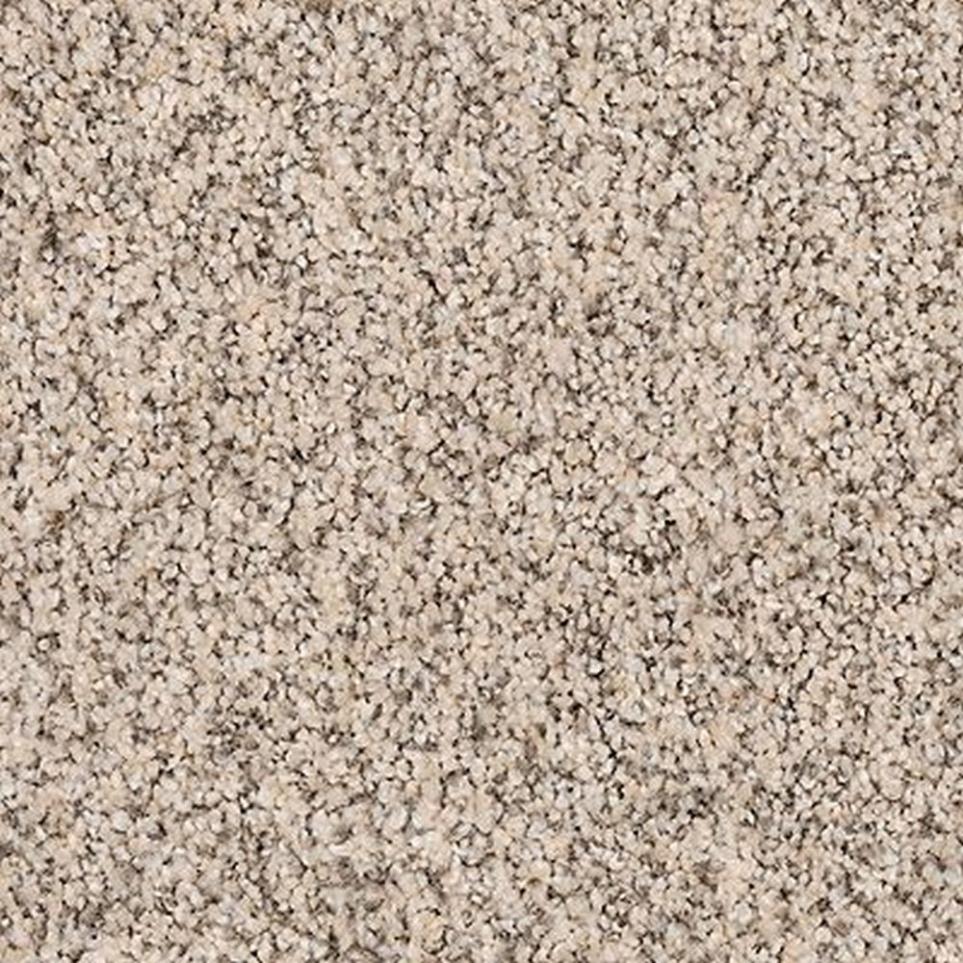 Textured Saxony Moonlit Ash Beige/Tan Carpet
