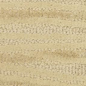 Pattern Humid Beige/Tan Carpet