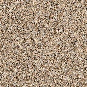 Texture Certain Brown Carpet