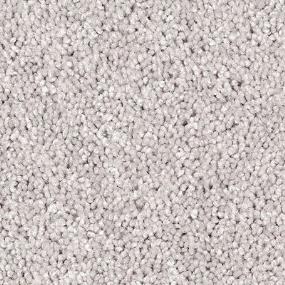 Texture Ice Cap Gray Carpet