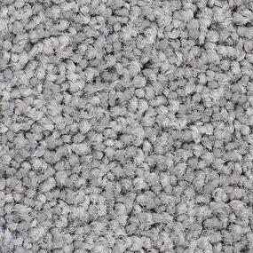 Berber Stardust Gray Carpet