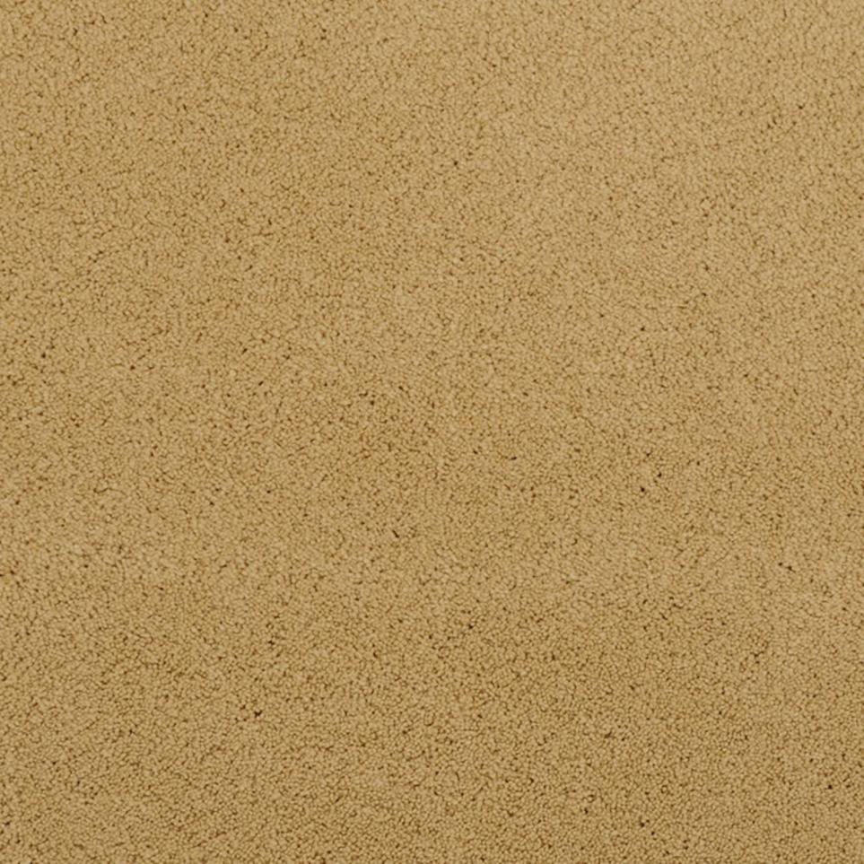 10160668_1329586_540101.jpg
