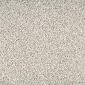 Textured Saxony Courtly Beige/Tan Carpet
