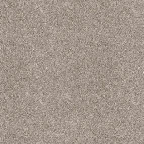 Fawn Beige/Tan Carpet