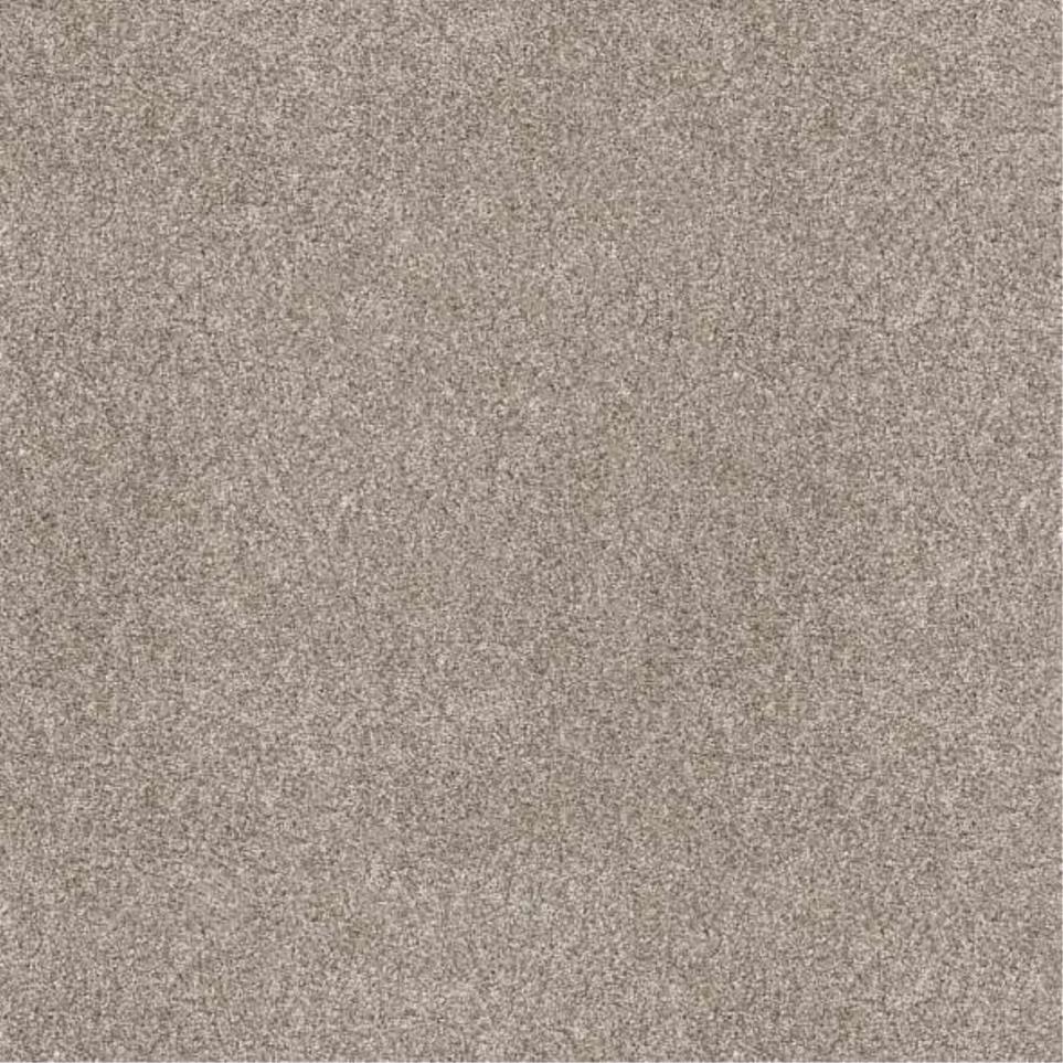 Textured Saxony Fawn Beige/Tan Carpet