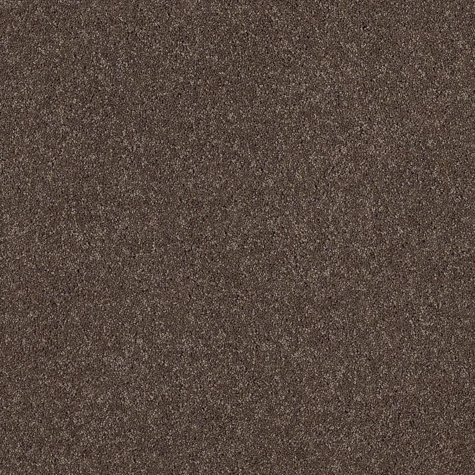 Textured Saxony Mole Brown Carpet