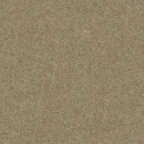 Textured Saxony Dusty Trail Beige/Tan Carpet