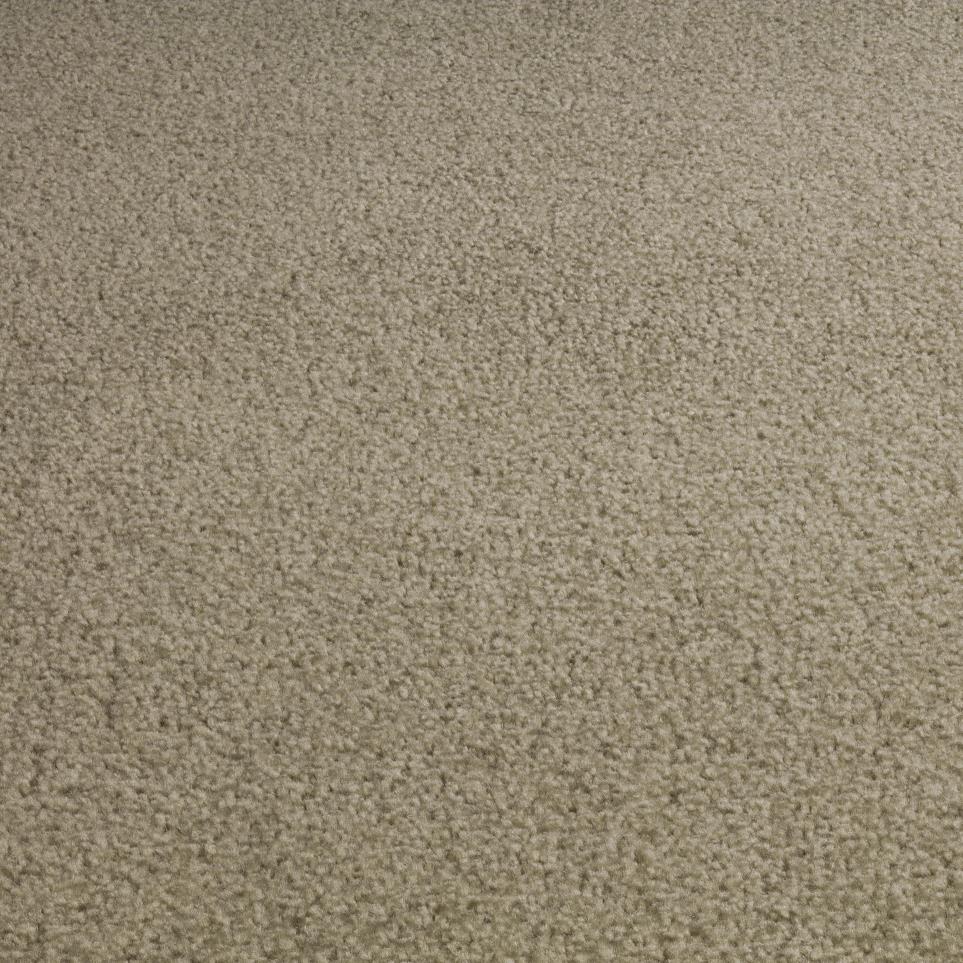 Textured Saxony Dusty Trail Beige/Tan Carpet