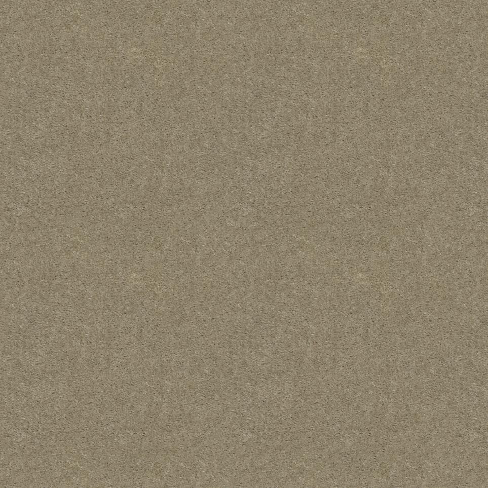 Textured Saxony Dusty Trail Beige/Tan Carpet