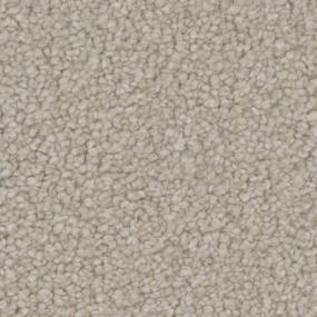 Textured Saxony Sway Beige/Tan Carpet