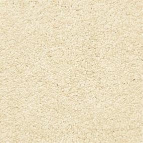 Casual Texture Peppercorn Beige/Tan Carpet