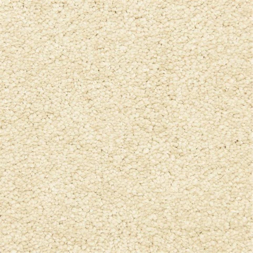 Casual Texture Peppercorn Beige/Tan Carpet