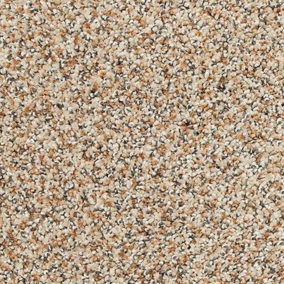 Textured Saxony Softened Ash Beige/Tan Carpet