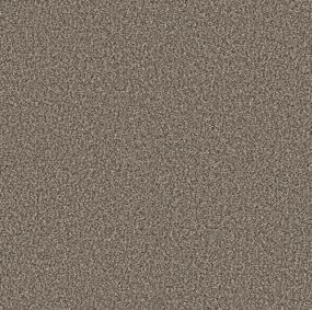Textured Saxony Sandy Nook Beige/Tan Carpet