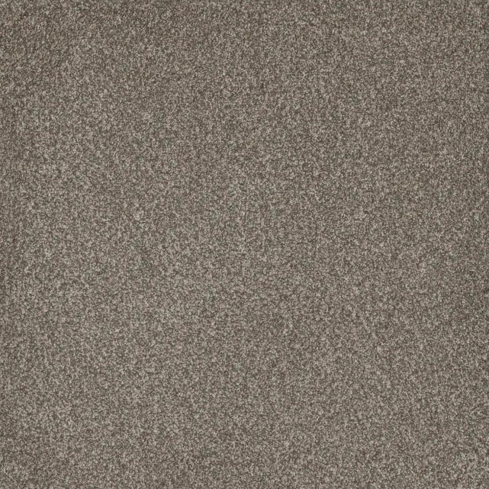 Texture Glorious Brown Carpet