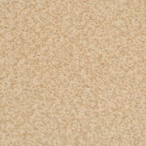 Casual Texture Birch Beige/Tan Carpet