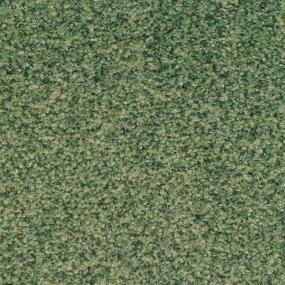 Casual Texture Hunt Club Green Carpet