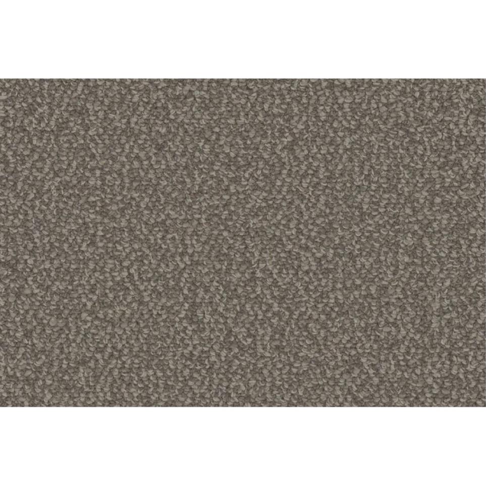 Loop Parade Brown Carpet