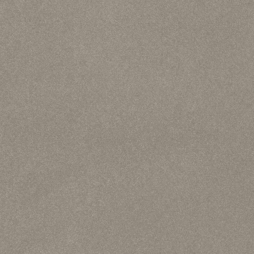 Textured Saxony Shady Day Beige/Tan Carpet