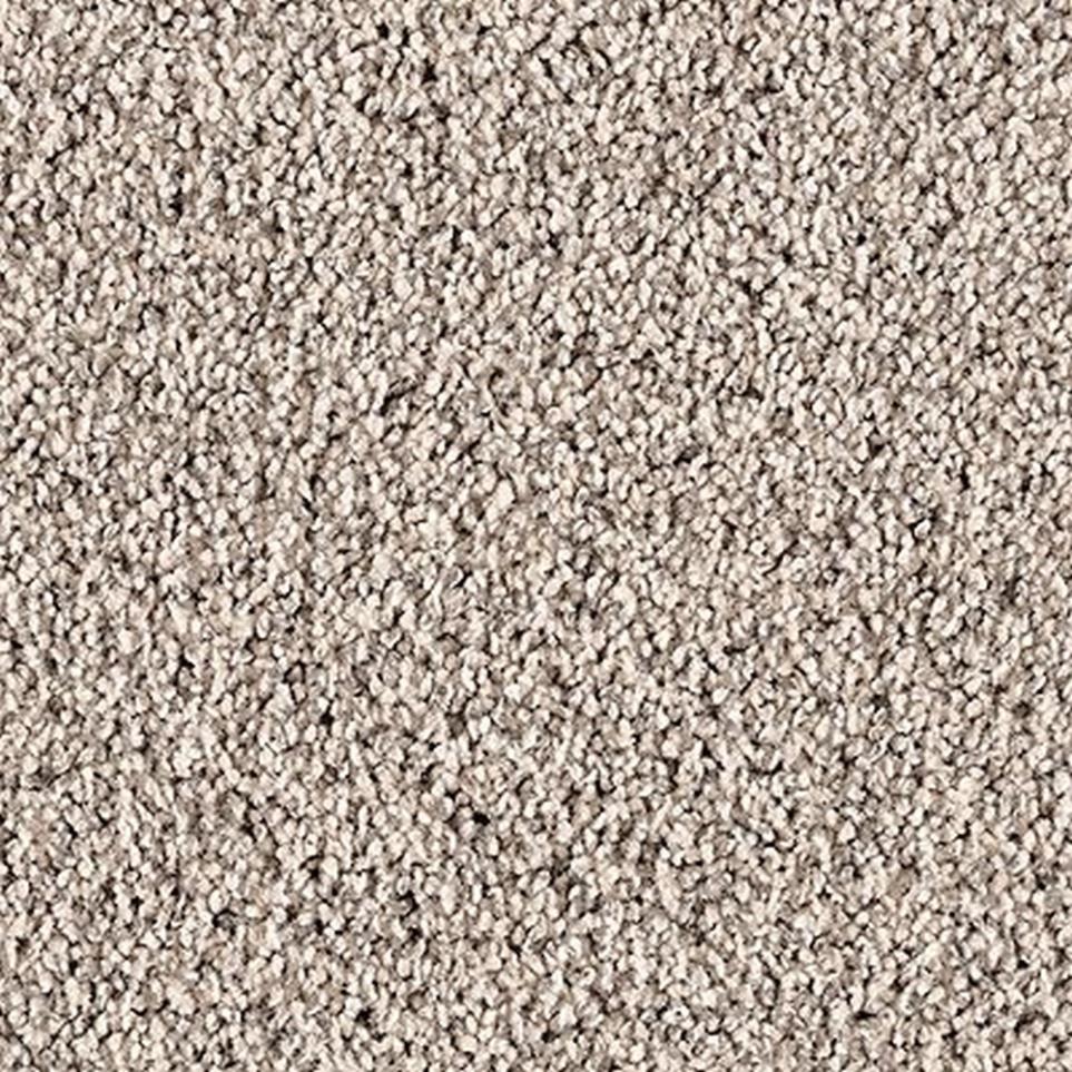 Textured Saxony Suave Brown Carpet