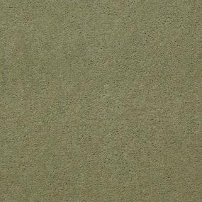 Cut Pile Guacamole Green Carpet