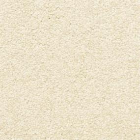Casual Texture Pewter White Carpet