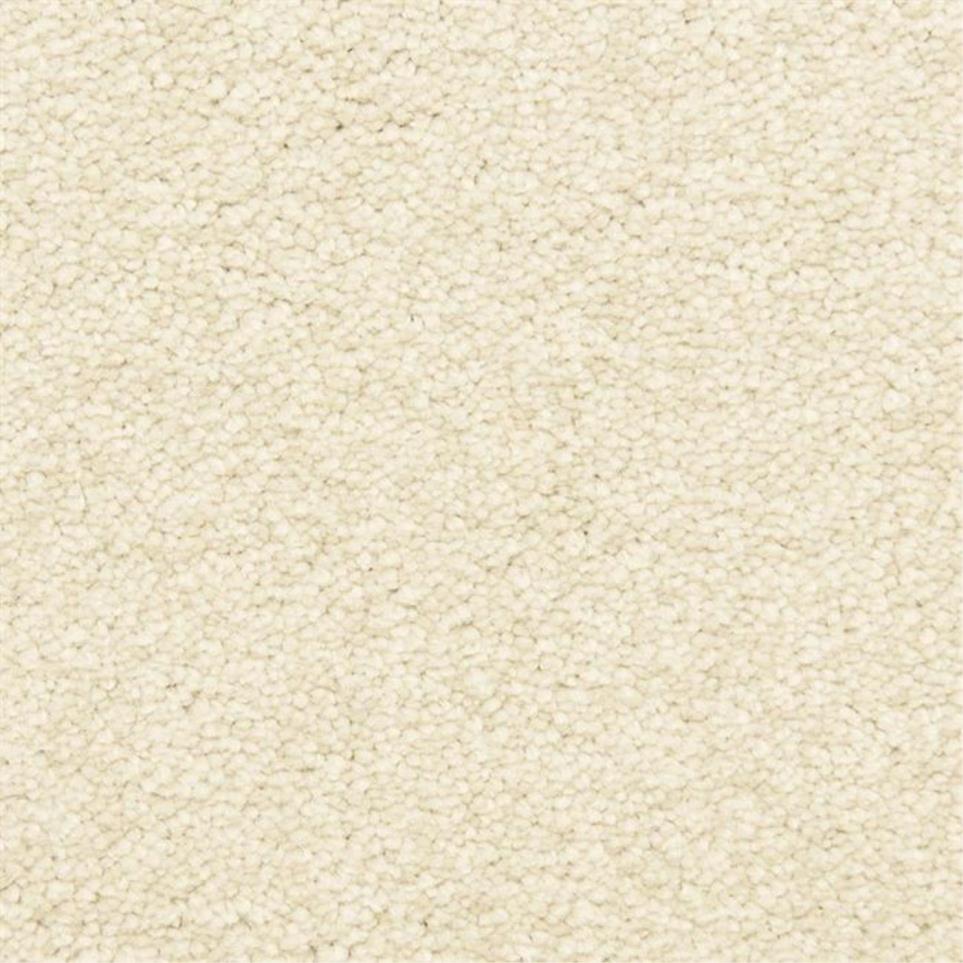 Casual Texture Pewter Gray Carpet