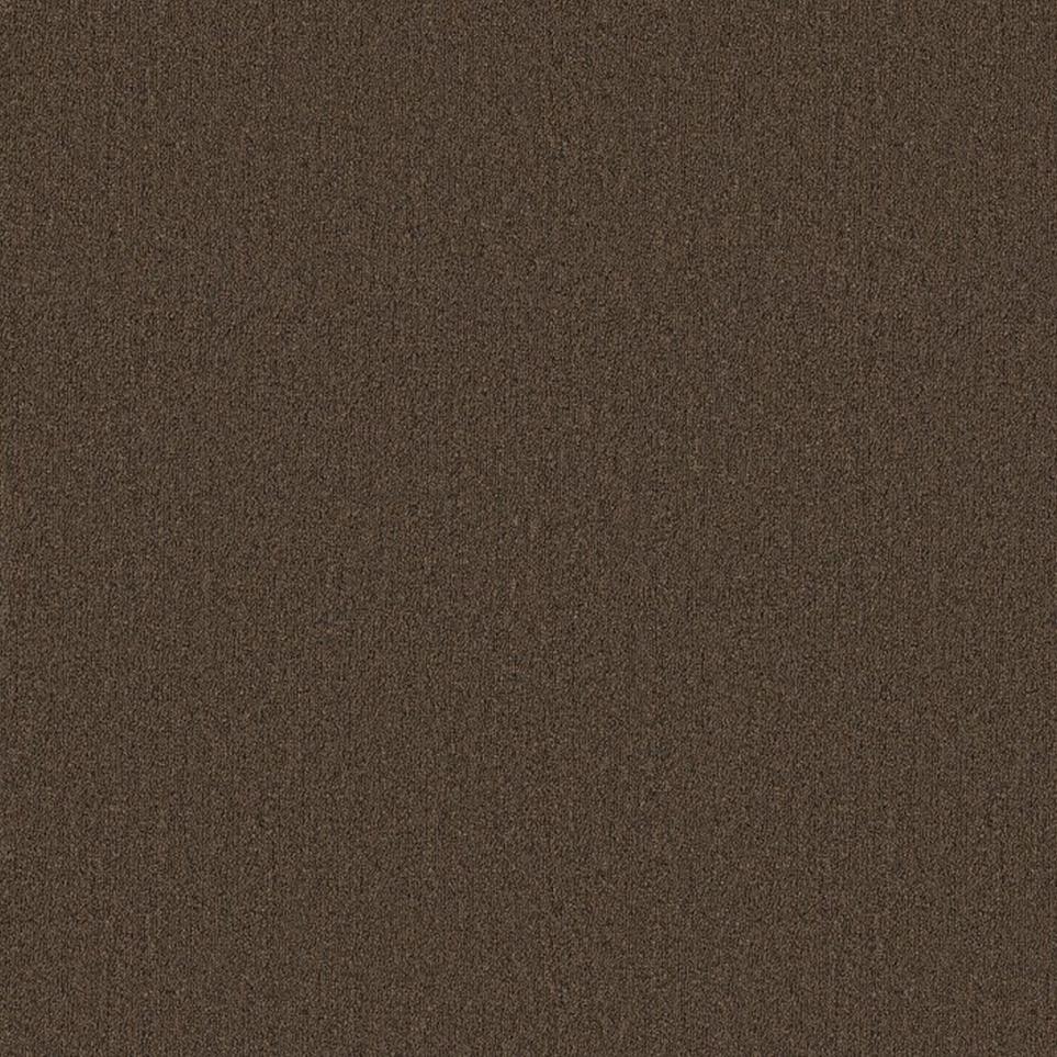 Loop Breakthrough Brown Carpet