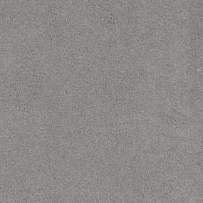Cut Pile Great Escape Gray Carpet