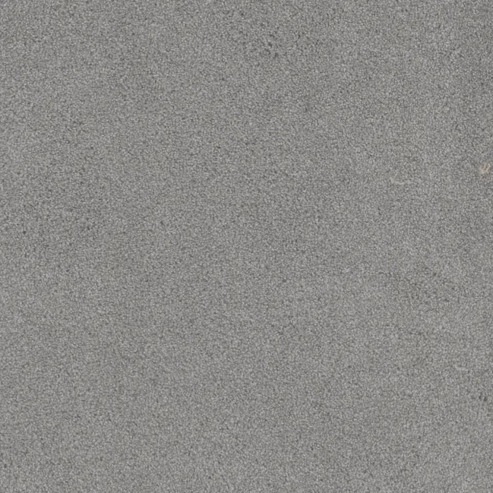 Cut Pile Great Escape Gray Carpet