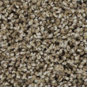 Textured Saxony Cayman Island Beige/Tan Carpet